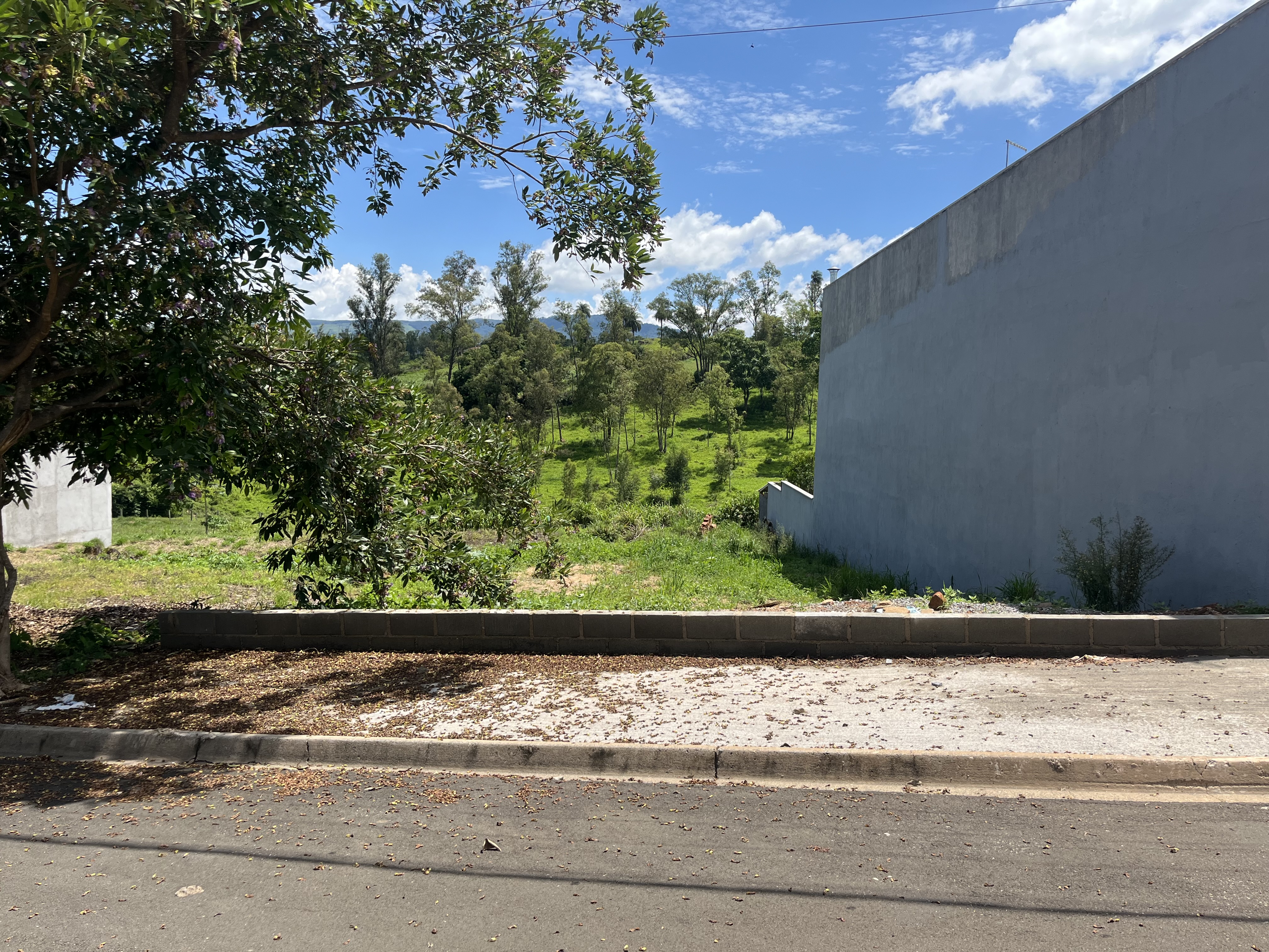 Imóvel 486